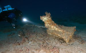 rostro Egadi 12_photo Richard Lundgren_GUE_03