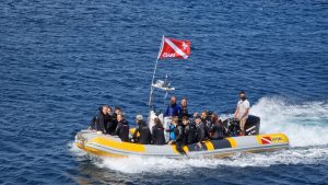 ISOLA 1