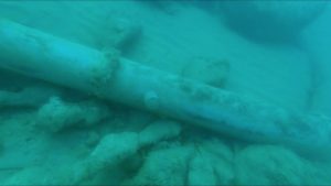 cannone 2