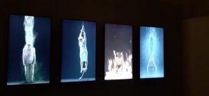 Bill Viola preview