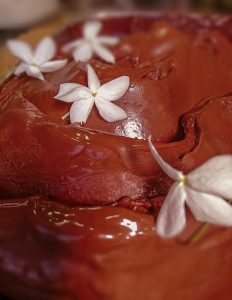 Sorbetto Gelato officinale Callebaut