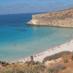 Ambiente, record di nidi per la tartaruga Caretta-caretta nelle riserve dell’Isola