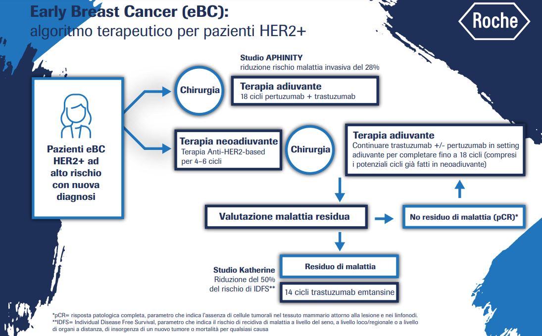 Due nuove molecole per la cura del tumore al seno HER2+ in fase precoce
