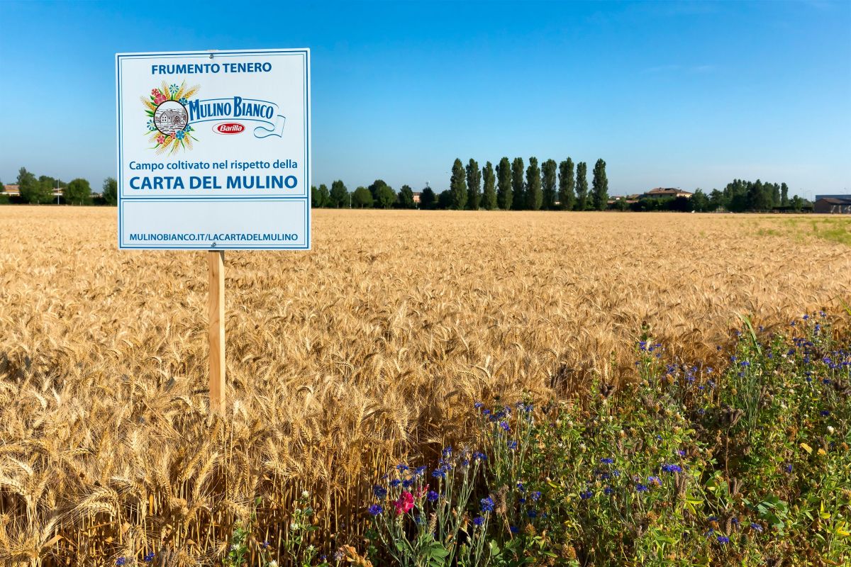 Barilla, continua a crescere l’impegno per la sostenibilità