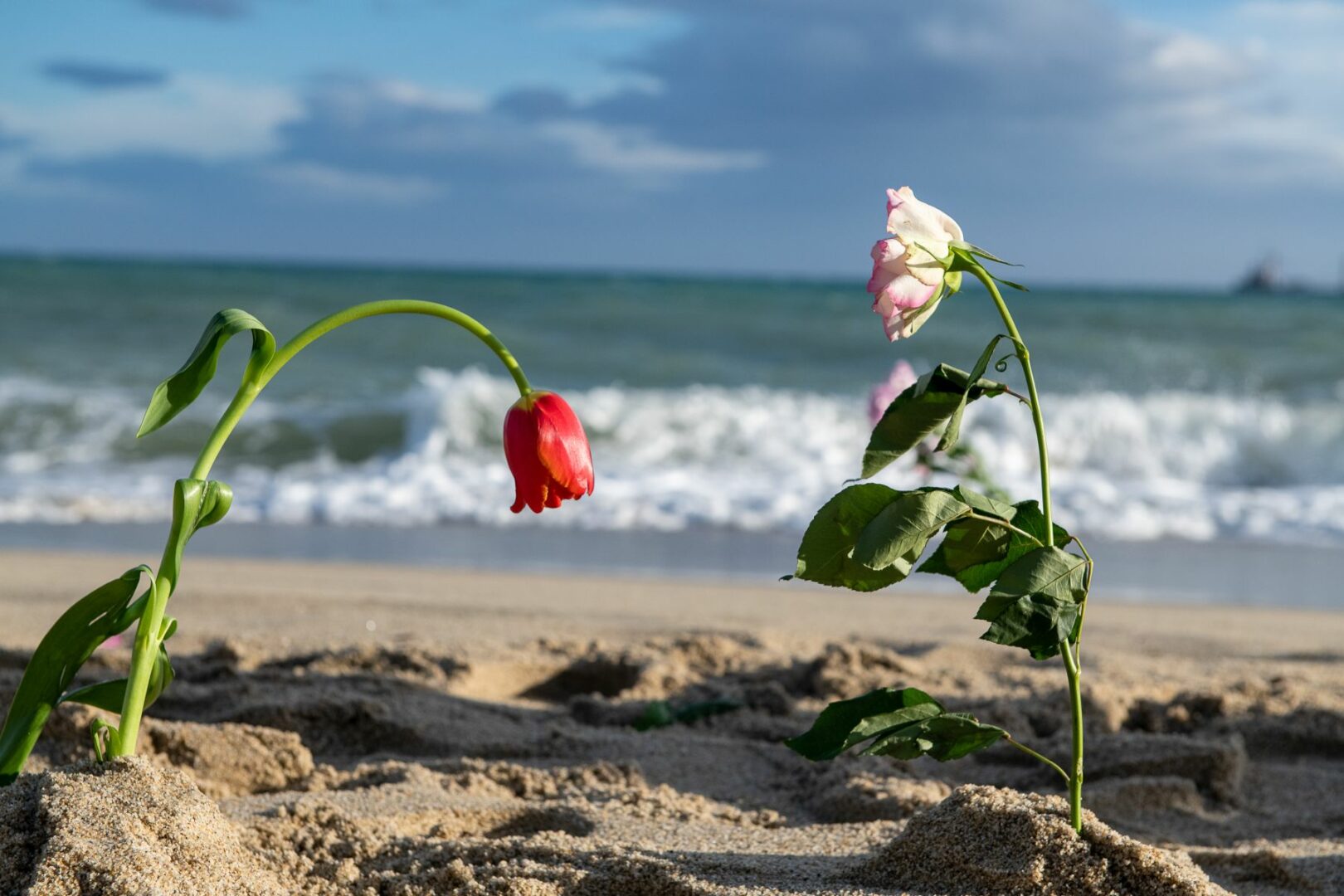 Cutro, un anno fa la strage in mare