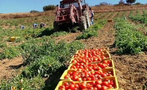 fff8604f-27bf-48ee-b4e7-8fbe42210a46