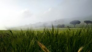 PRIMA_SEMINA_2020