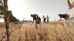 giusi messina foto