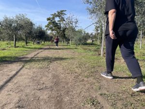Passeggiata Metabolica