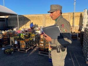 controlli del Noras del Corpo Forestale