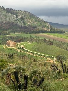 segesta 2