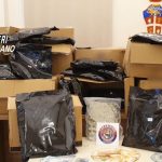 Blitz contro il narcotraffico, 12 arresti e 17 fermi