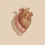 Scompenso cardiaco, nasce il gruppo di lavoro per la diagnosi precoce