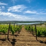 Casa Grazia tra vino da ascoltare parole da assaporare all’insegna dell’inclusività lunedì 7 luglio per Sinestesie