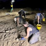 Termini Imerese, BCsicilia visita ad Himera gli scavi archeologici in notturna
