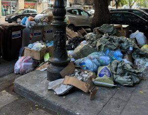 Immondizia a Palermo 4