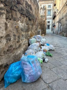 Immondizia a palermo 2