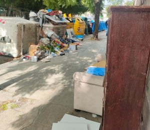 Immondizia a palermo 5