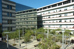 prospetto ospedale giglio