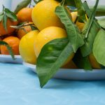 “Coltiva il Futuro, Nutri il Pianeta”, l’educazione ambientale e alimentare entra nelle scuole siciliane