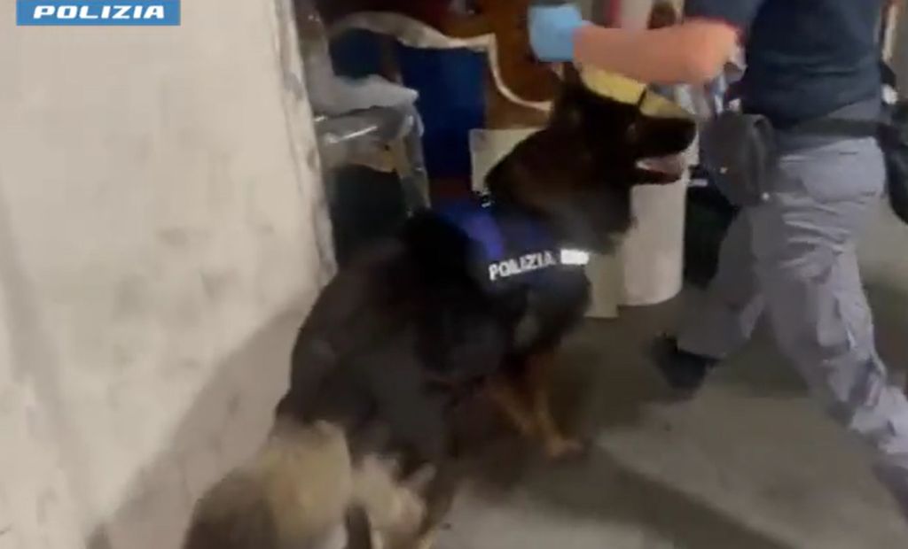 /var/www/clients/client1/web6/web/wp-content/uploads/2025/11/20251103_0082