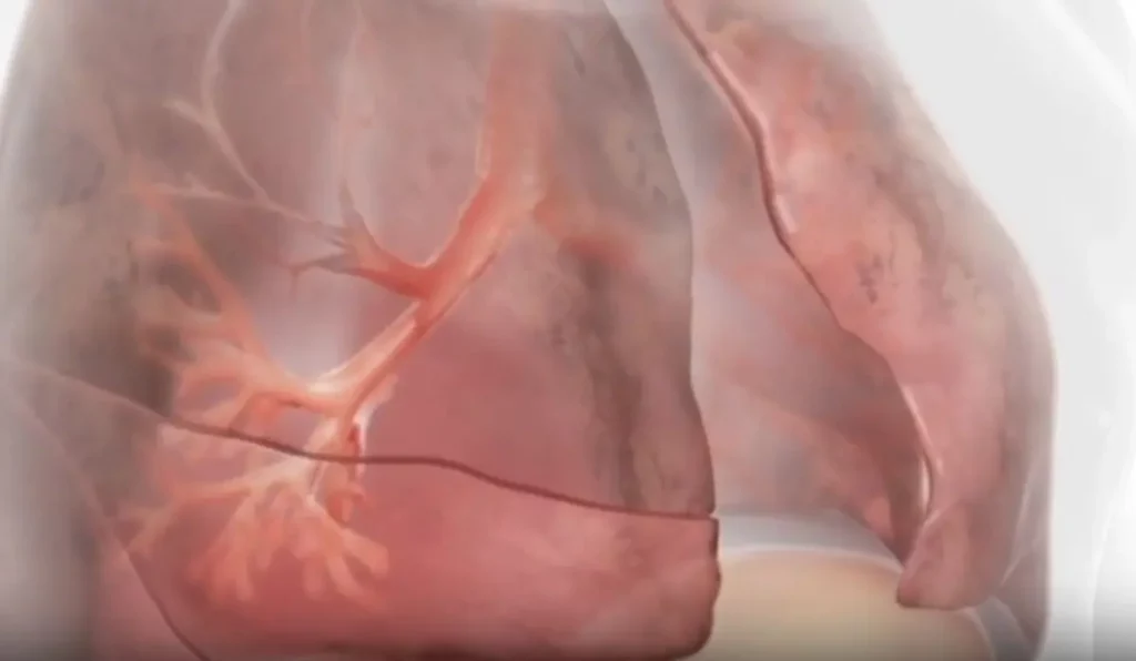 /var/www/clients/client1/web6/web/wp-content/uploads/2025/11/20251103_1894