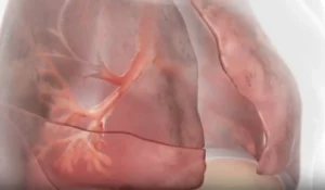 /var/www/clients/client1/web6/web/wp-content/uploads/2025/11/20251103_1894