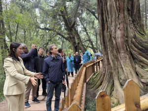 /var/www/clients/client1/web6/web/wp-content/uploads/2025/11/20251105_1861