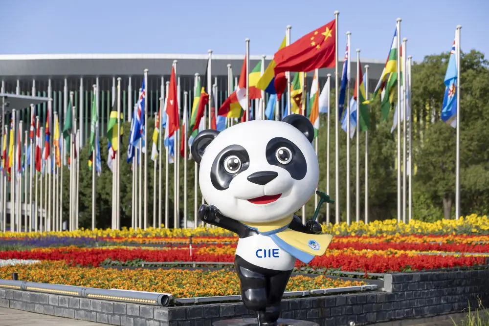 /var/www/clients/client1/web6/web/wp-content/uploads/2025/11/20251113_2584