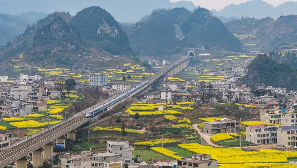 /var/www/clients/client1/web6/web/wp-content/uploads/2025/11/20251114_1692