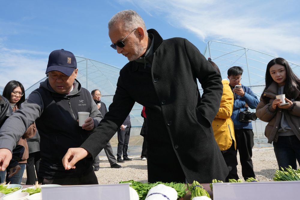 /var/www/clients/client1/web6/web/wp-content/uploads/2025/11/20251124_2461