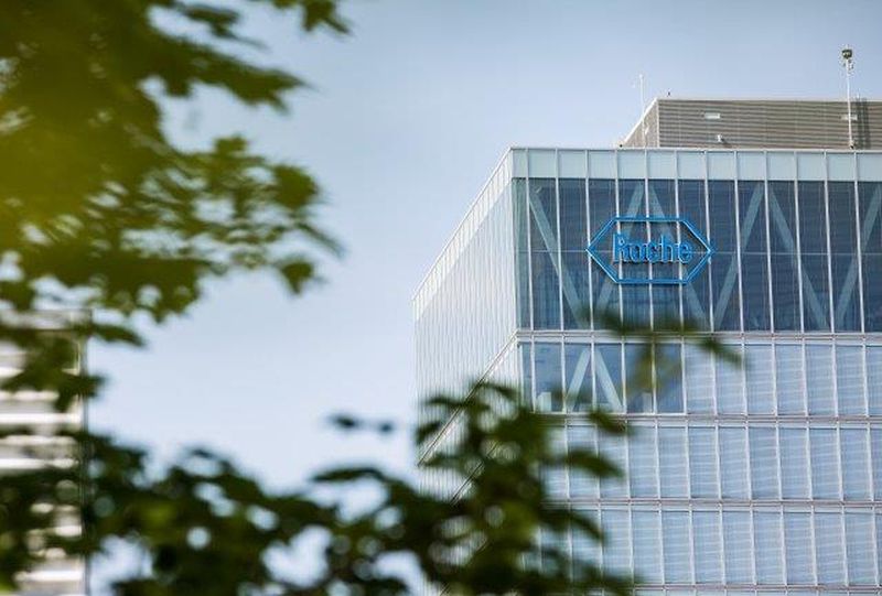 /var/www/clients/client1/web6/web/wp-content/uploads/2025/11/20251127_0287