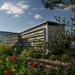 Violenza di genere, domani incontro al Giglio di Cefalù con istituzioni e medici