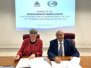 /var/www/clients/client1/web6/web/wp-content/uploads/2025/12/20251203_2407