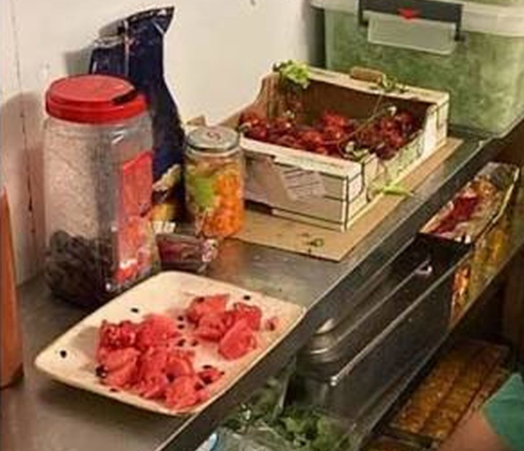 /var/www/clients/client1/web6/web/wp-content/uploads/2025/12/20251204_0103