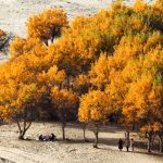 Cina, nello Xinjiang produzione di petrolio greggio supera 1,7 mln di tonnellate