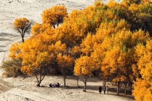 /var/www/clients/client1/web6/web/wp-content/uploads/2025/12/20251209_4266