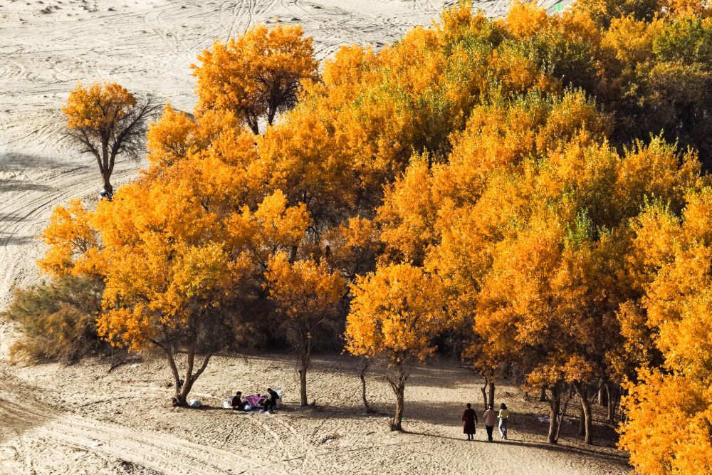 /var/www/clients/client1/web6/web/wp-content/uploads/2025/12/20251209_4266