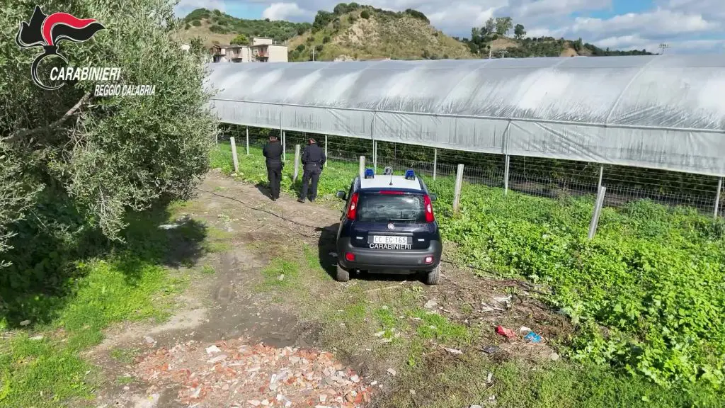 /var/www/clients/client1/web6/web/wp-content/uploads/2025/12/20251211_0081