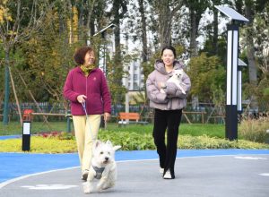 /var/www/clients/client1/web6/web/wp-content/uploads/2025/12/20251212_2797