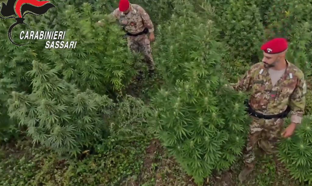 /var/www/clients/client1/web6/web/wp-content/uploads/2025/12/20251215_0213