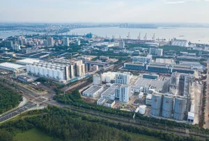 /var/www/clients/client1/web6/web/wp-content/uploads/2025/12/20251216_2354