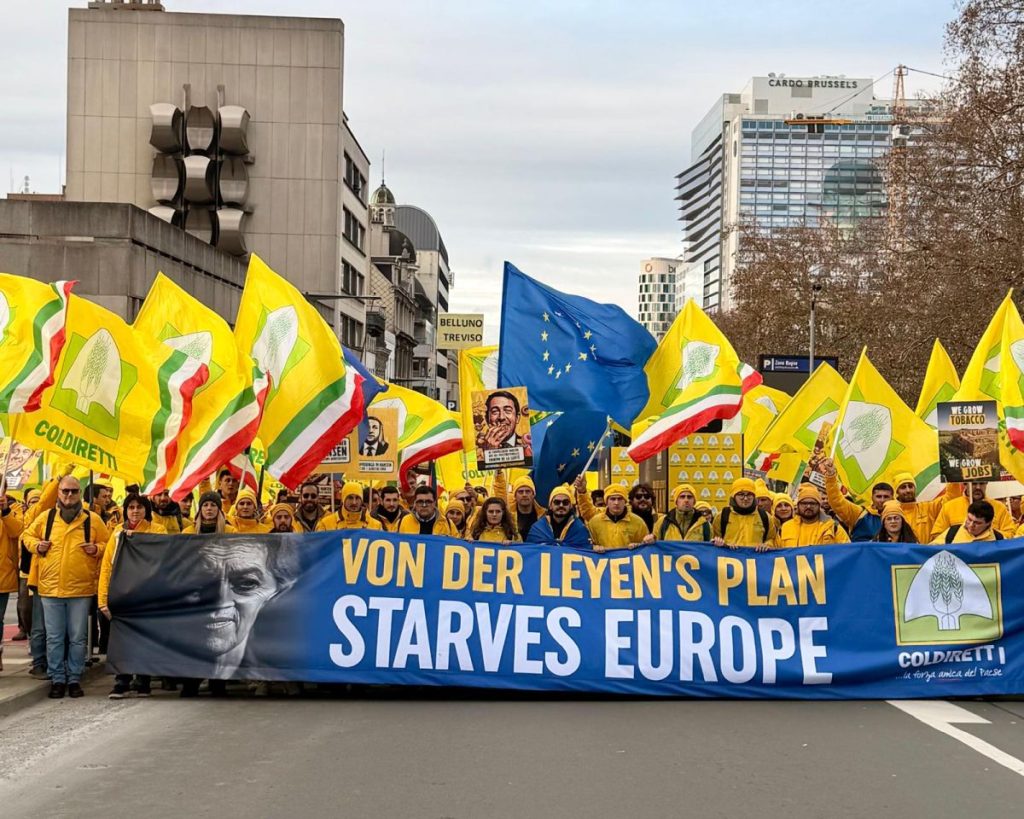 /var/www/clients/client1/web6/web/wp-content/uploads/2025/12/20251218_2046