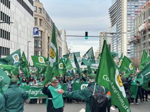 /var/www/clients/client1/web6/web/wp-content/uploads/2025/12/20251218_2759