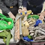 Milano, a Linate sequestrate 6,5 tonnellate di alimenti non sicuri