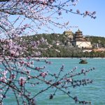 Villa d’Este, una mostra celebra partenariato siti patrimonio Unesco Cina-Italia