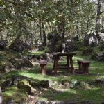 FAI Catania, Gruppo Etna Nord e Regione Siciliana insieme per valorizzare le aree forestali naturalistiche