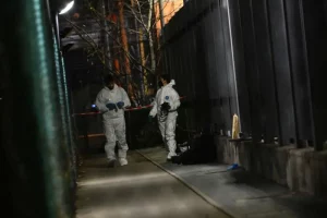 /var/www/clients/client1/web6/web/wp-content/uploads/2026/01/20260106_0131