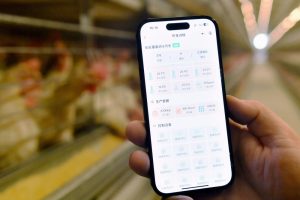 /var/www/clients/client1/web6/web/wp-content/uploads/2026/01/20260112_2420