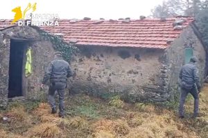 /var/www/clients/client1/web6/web/wp-content/uploads/2026/01/20260115_0468